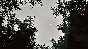 Mycelium: The Silent Contract