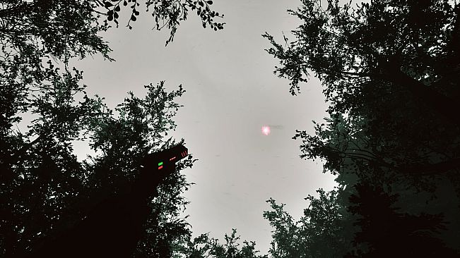 Mycelium: The Silent Contract