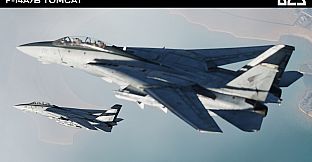 DCS: F-14A/B Tomcat by Heatblur Simulations