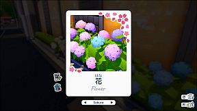 Shashingo: Learn Japanese with Photography