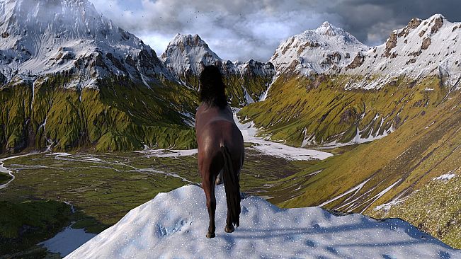 HORSE LIFE: find horses in open world, survive in wild nature as a foal or pony