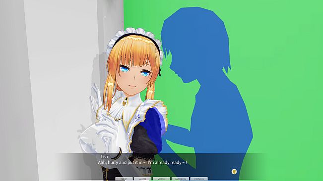 CUSTOM ORDER MAID 3D2 & 2.5 + V01