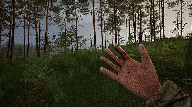 TUNGUSKA: A Call in the Woods