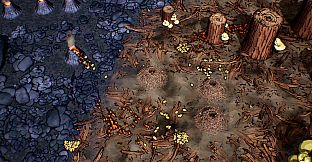 Ants Times Infinity
