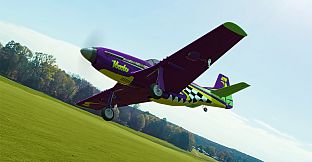 RealFlight Evolution - E-flite UMX P-51D Voodoo