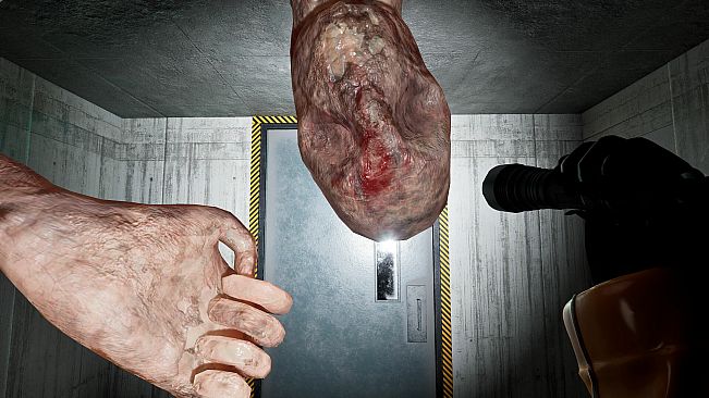 The Backrooms Company