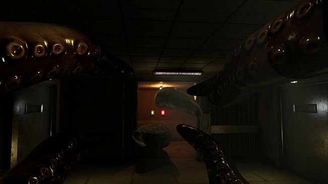 Prison Anomaly