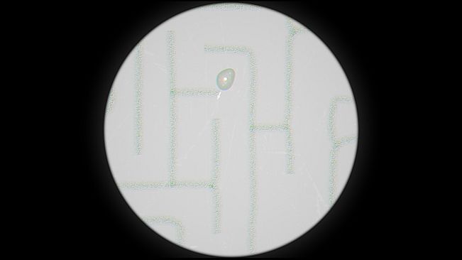 Dreaming in the mountains