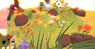 Amazing Chicken Adventures