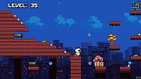 Mel The Cat Collection