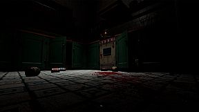 Y. Village - The Visitors