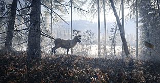 theHunter: Call of the Wild - Medved-Taiga