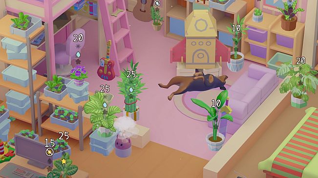 Urban Jungle