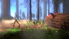 Cold Iron - Quick Draw Western Duels