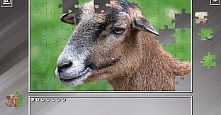 Super Jigsaw Puzzle: Generations - Random Animals 2