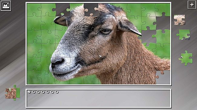 Super Jigsaw Puzzle: Generations - Random Animals 2