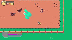 Why Did The Chicken Cross The Road?