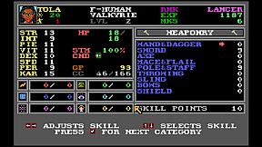 Wizardry 6: Bane of the Cosmic Forge