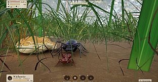 Ant Now?