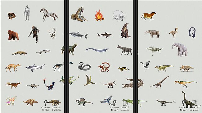 Jigsaw puzzle - Evolution