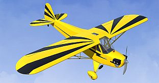 RealFlight Evolution – Hangar 9 Clipped-Wing Cub 10cc