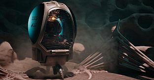 Dig Baby Dig Company