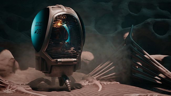 Dig Baby Dig Company