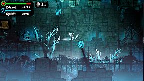 Knightczech: The beginning