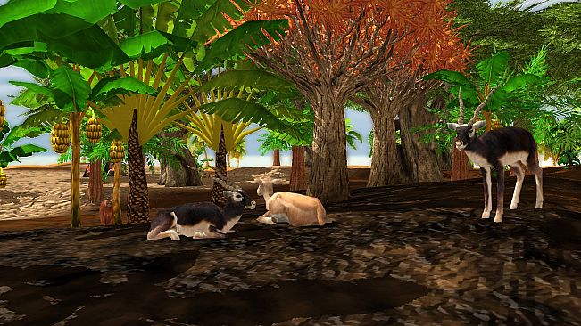 Wildlife Park 3 - Asia