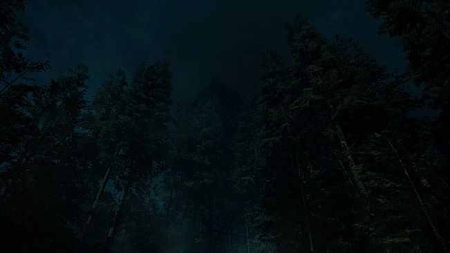 Forest Lookout