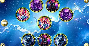 Space Memory: Chinchillas