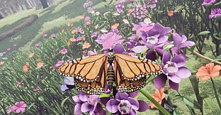 Butterfly Skins - Drunk On Nectar