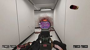 They Killed Your Cat