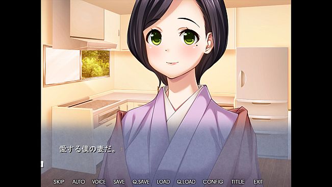 他の男の精液で孕むとき２ ―　障子に映る、快感に悶え狂った妻の影　―