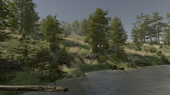 VR Walking Simulator