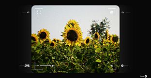 Evertrail
