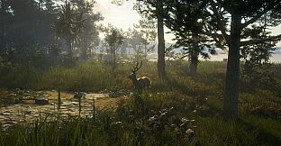theHunter: Call of the Wild - Te Awaroa National Park