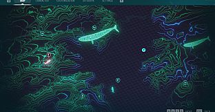 Echo: The dolphin story