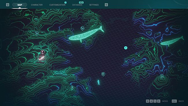Echo: The dolphin story