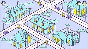 IN THE BUILDING: HAMSTERS