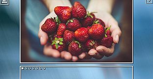 Super Jigsaw  Puzzle: Generations - Fruits Puzzles