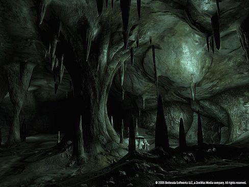 The Elder Scrolls IV: Oblivion Game of the Year Edition (2009)