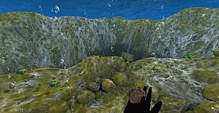 The Stanford Ocean Acidification Experience