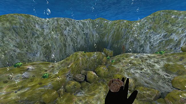 The Stanford Ocean Acidification Experience