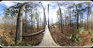 Exhale XR - Fall Journey