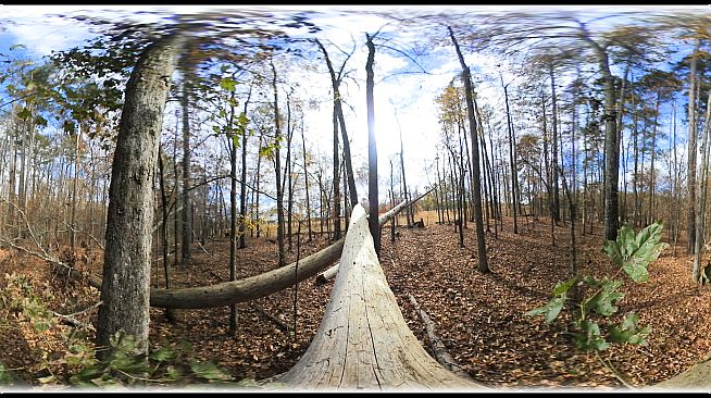 Exhale XR - Fall Journey