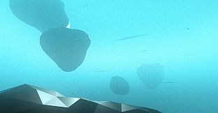 Irrational Exuberance