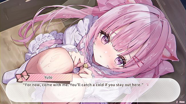 Nekomimi Days ~365 Days with You~