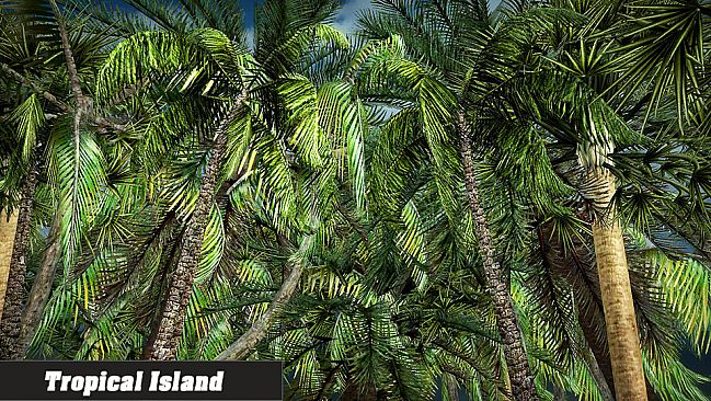 Island Simulator 2016