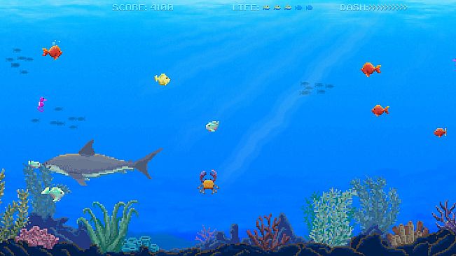 Watch Out: Shark!